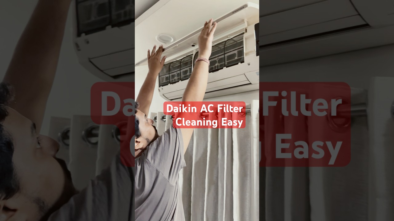 Daikin AC Filter Cleaning