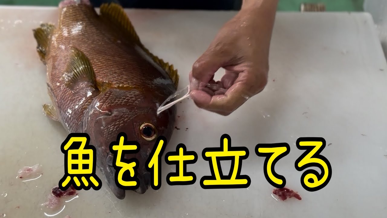 ちょっとした高級な魚を仕立てる編 vol.670