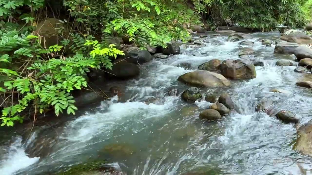 Flowing River Ambience 🍃 | Natural Water Sounds to Relax the Mind
