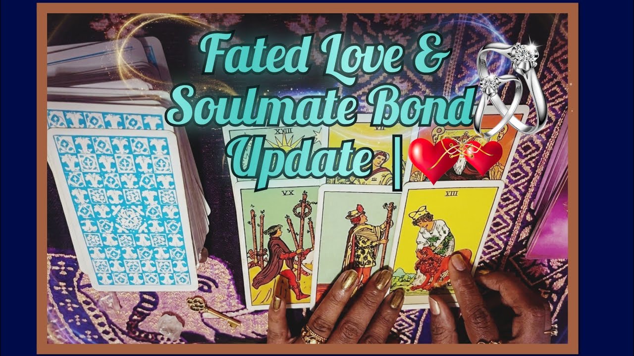 Fated Love 💞 Soulmate Bond Update | Why Is This On Hold? | Thanglish Tarot