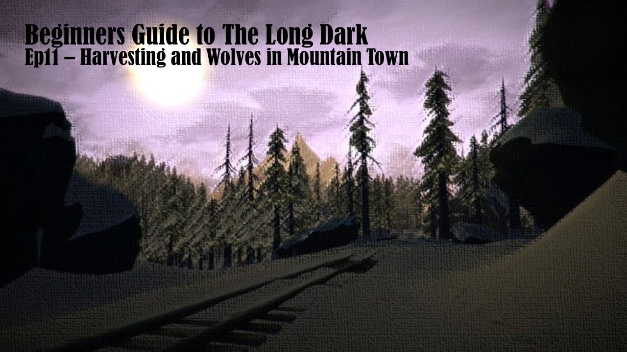 Beginners Guide to the Long Dark Ep11 Harvesting and Wolves in Mountain Town