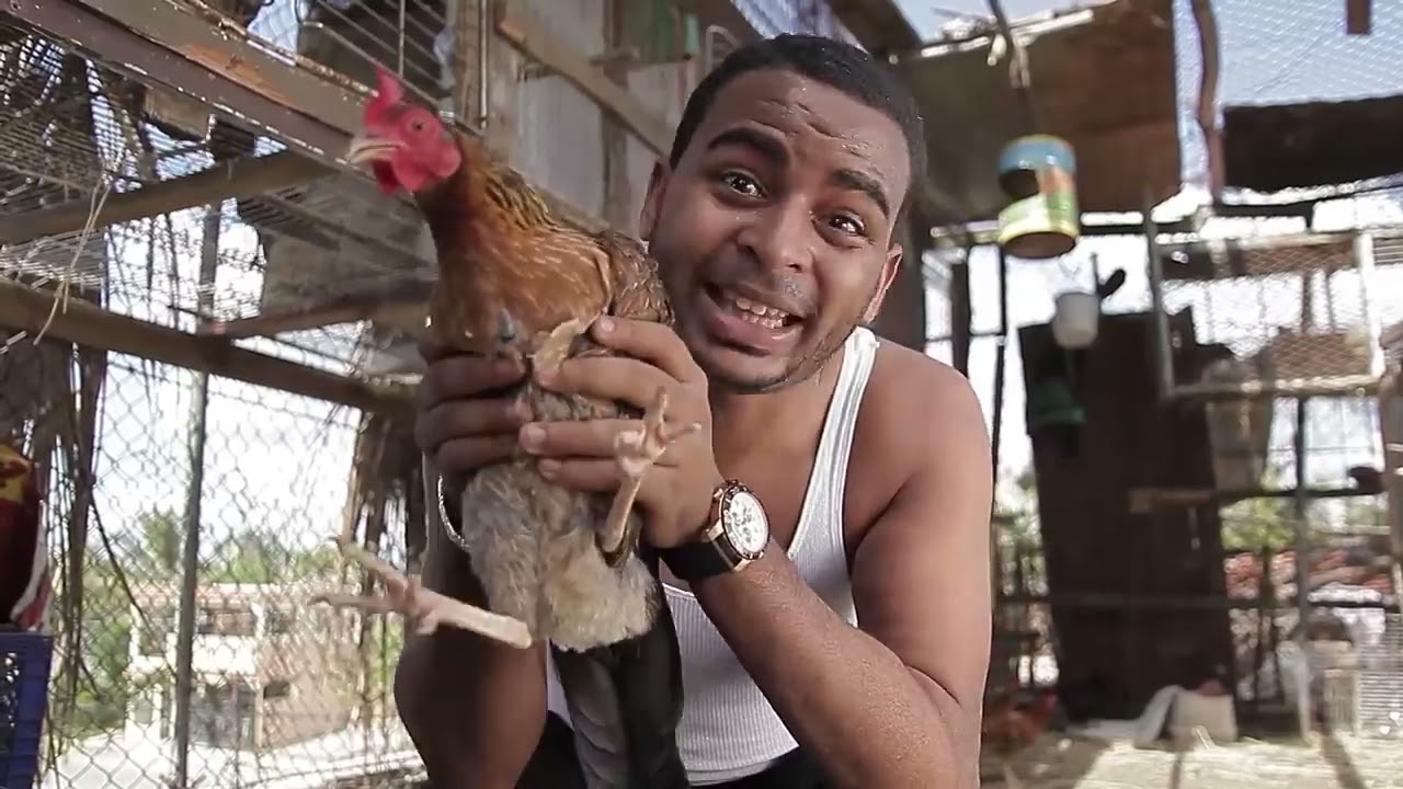 Nfasis - Gallina y Avetruces (Video oficial)