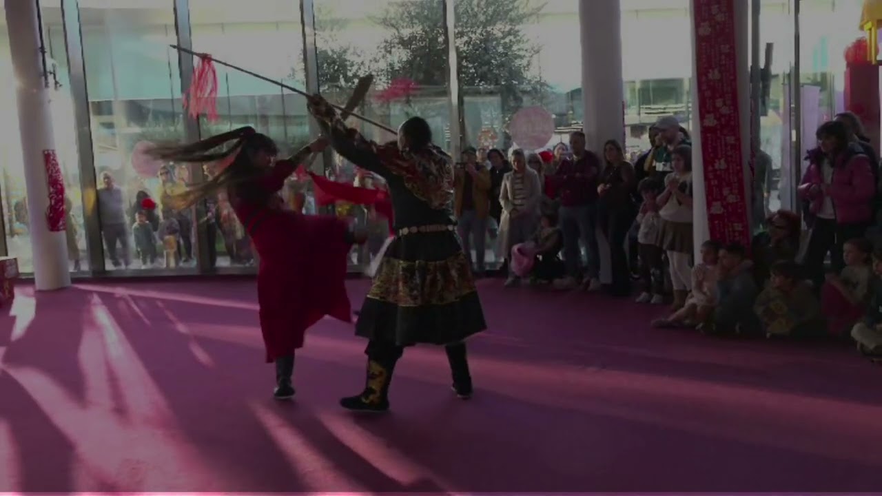 Happy Chinese New Year /A selection for the Kung Fu / Shaolin Wudang 2026 choreography.