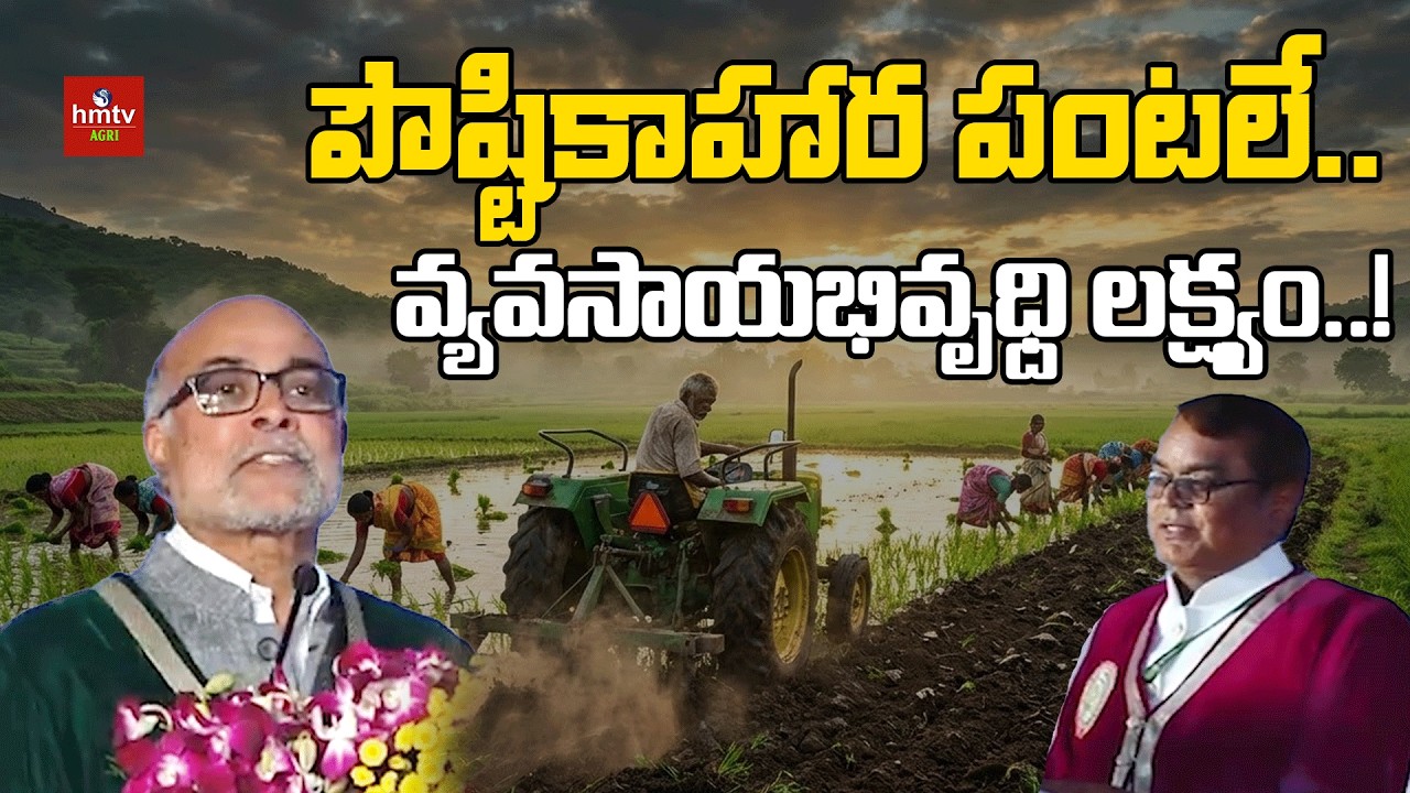 పౌష్టికాహార పంటలే.. వ్యవసాయభివృధ్ది లక్ష్యం..! | Nelathalli | Nutritious crops | hmtv Agri