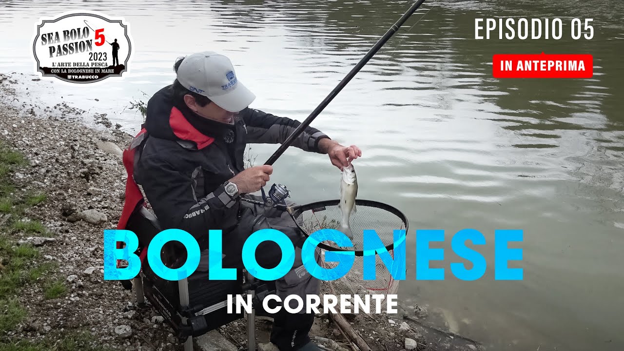 Pesca a BOLOGNESE - SPIGOLE in CORRENTE 🐟» Sea BOLO Passion S5E5 Anteprima