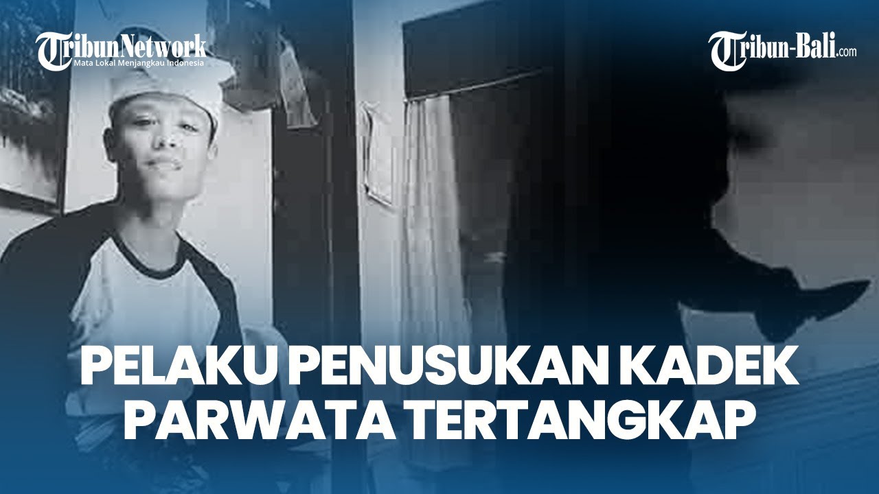 Polresta Denpasar Buka Suara, Pelaku Penusukan Kadek Parwata Tertangkap