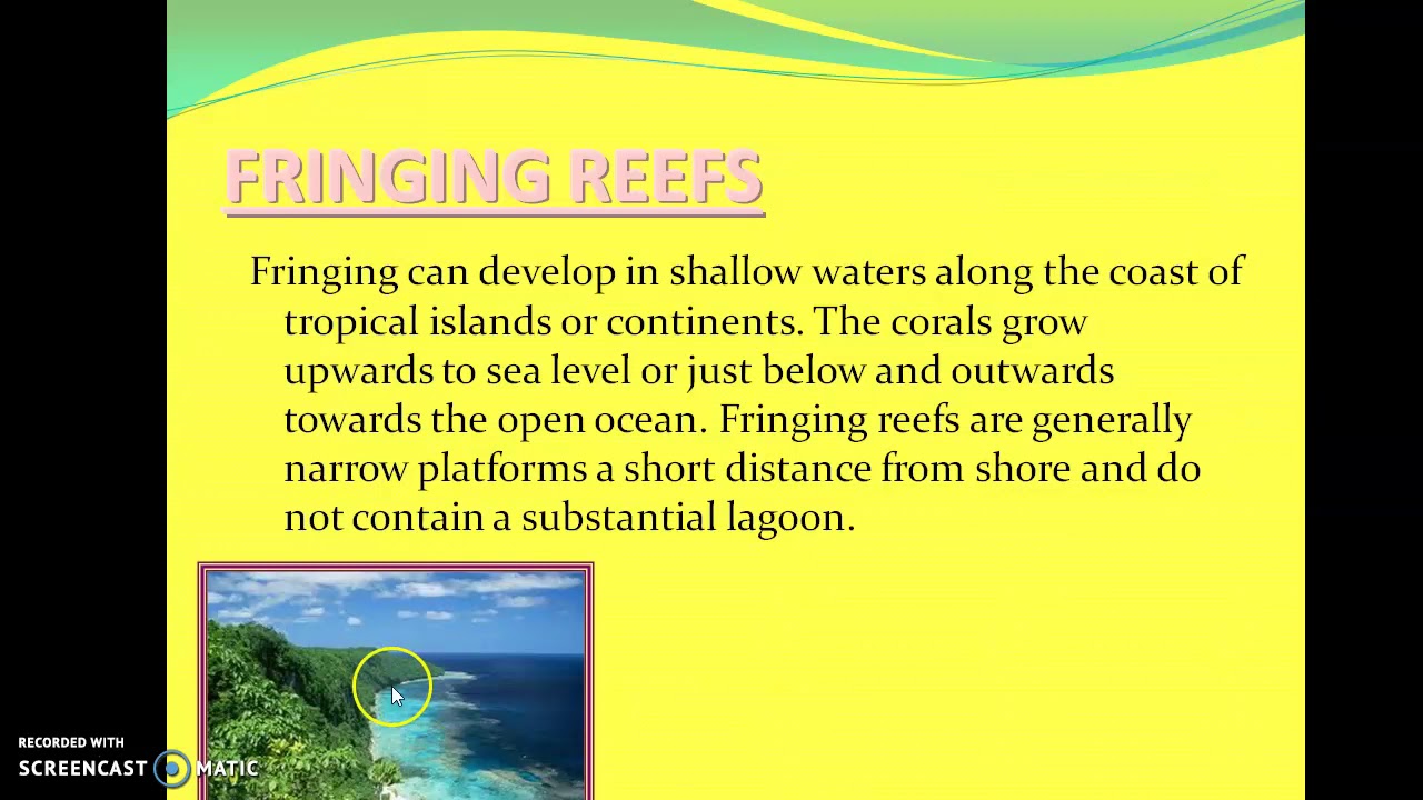 Coral Reefs: Caribbean Geo/ Def, types and importants
