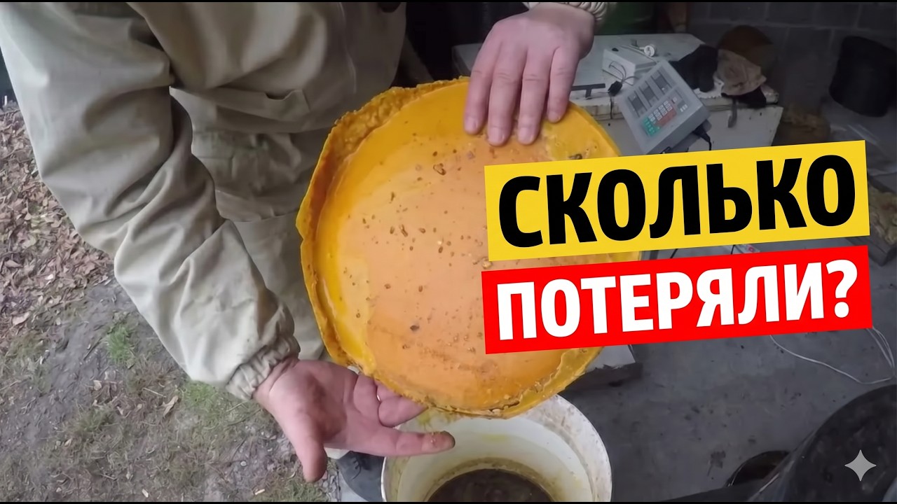 Перетопка воска. Центрифуга и воскопресс Лисица повышение выхода воска.