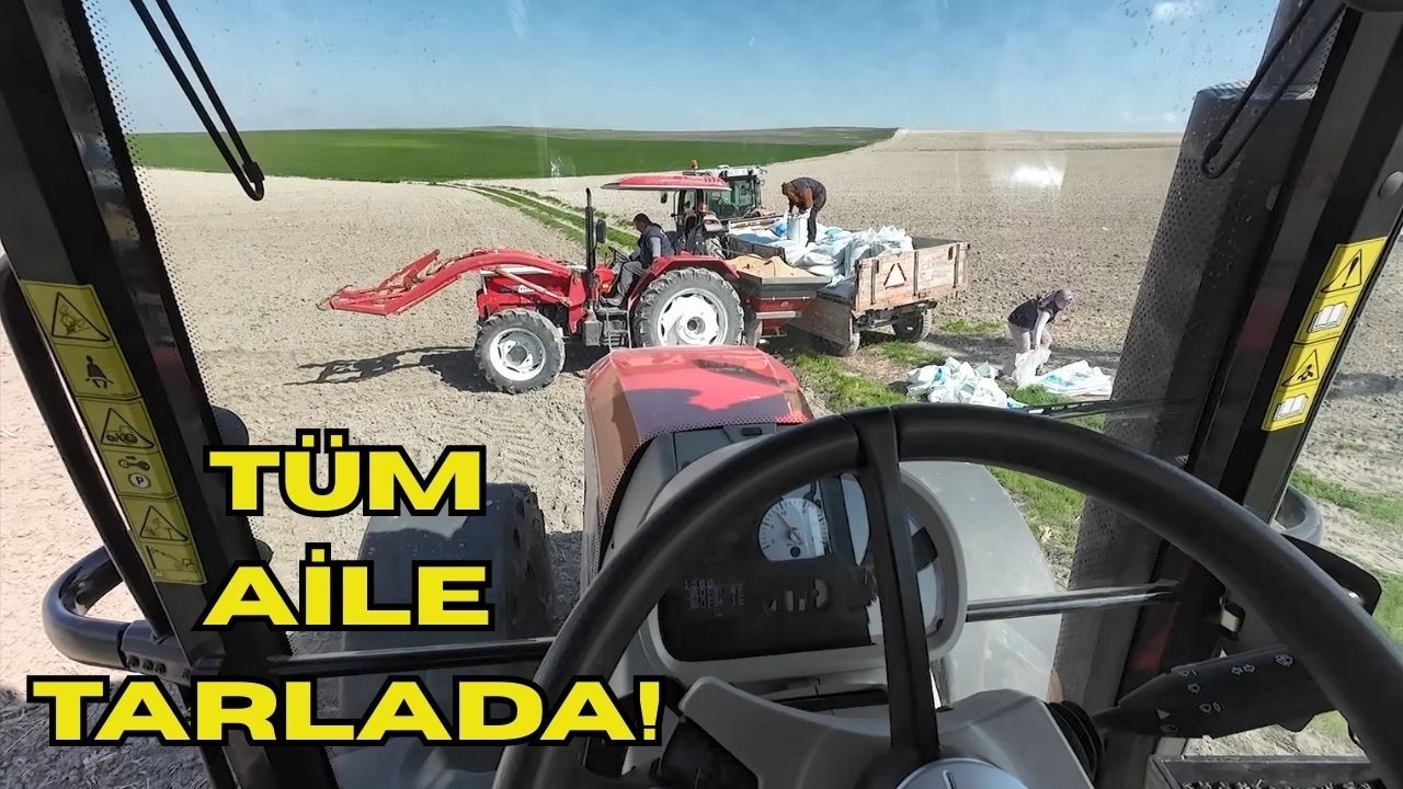BUĞDAY SUYUNA DEVAM! BABAM GÜBRE ATIYOR BEN TIRMIK ÇEKİYORUM !