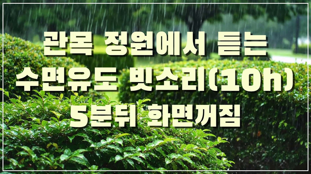 장대비 쏟아지는 관목 정원에서 듣는 수면유도 빗소리, 5분 뒤 화면꺼짐 (10h)