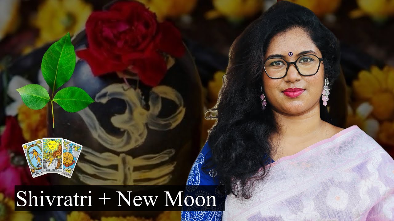 শিবরাত্রি collective energy // Bengali Tarot card Reading 
