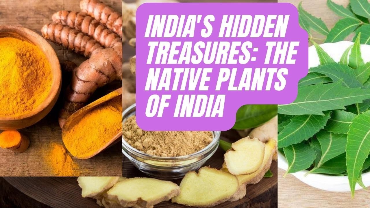 India's Hidden Treasures: The Native Plants of India