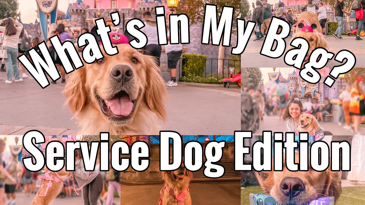 What’s in my bag! | Service Dog Edition|