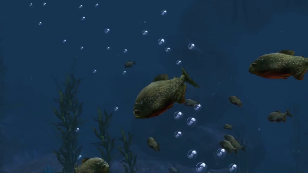 Ocean Rift Trailer