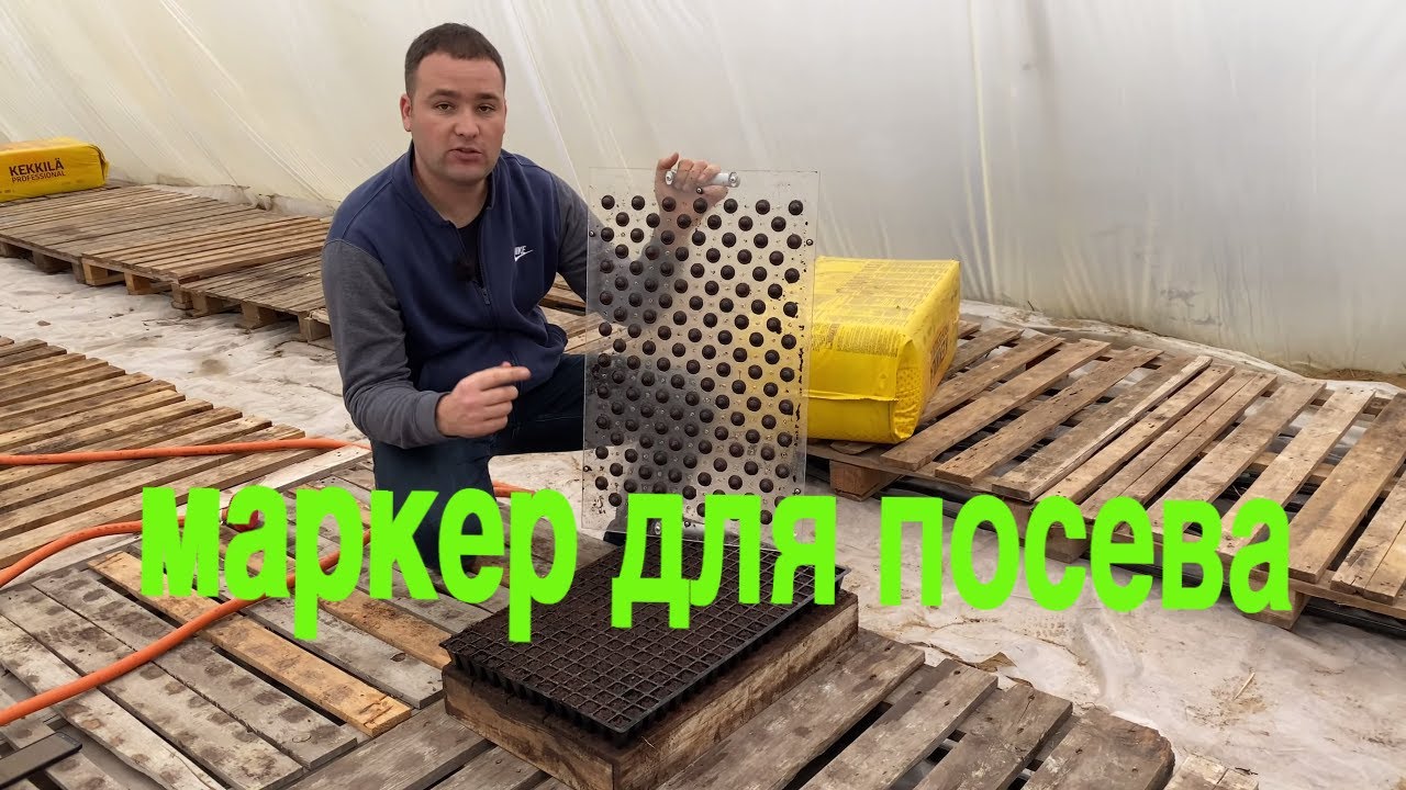 Посев перца таким способом - максимум для рассады