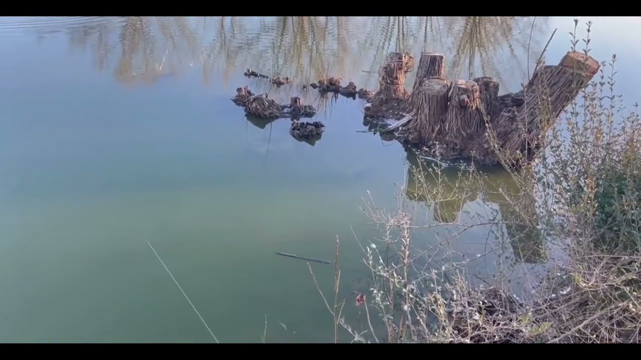 Snow Bass Fishing 