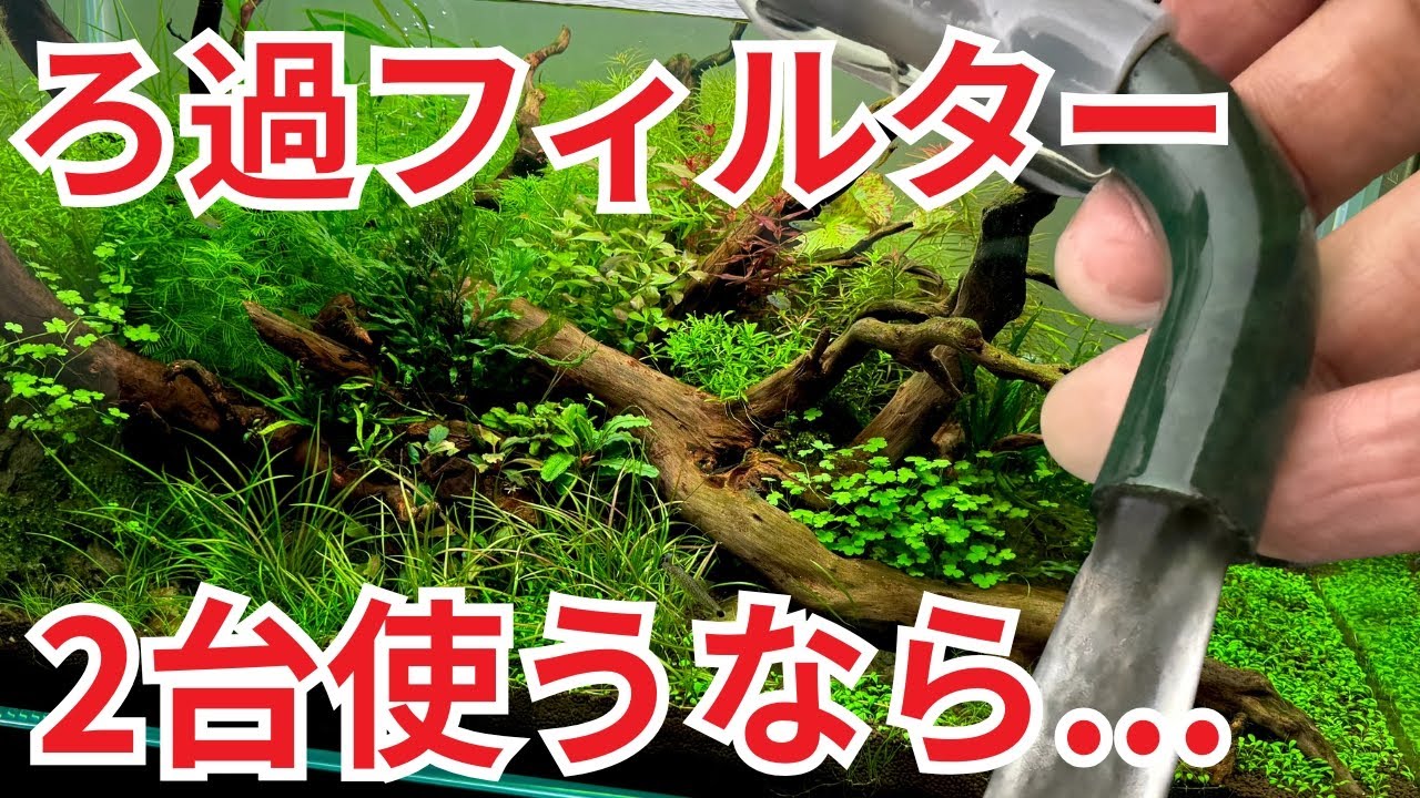 【超大事】水槽の調子を上げてピカピカに、ろ過フィルターの考え方をお話しします