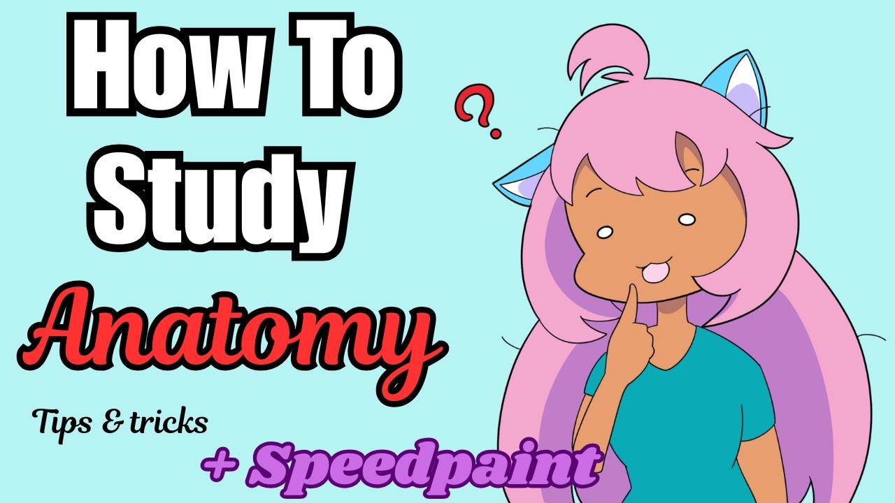 How to Study Anatomy (For Beginners) | Tips & Tricks