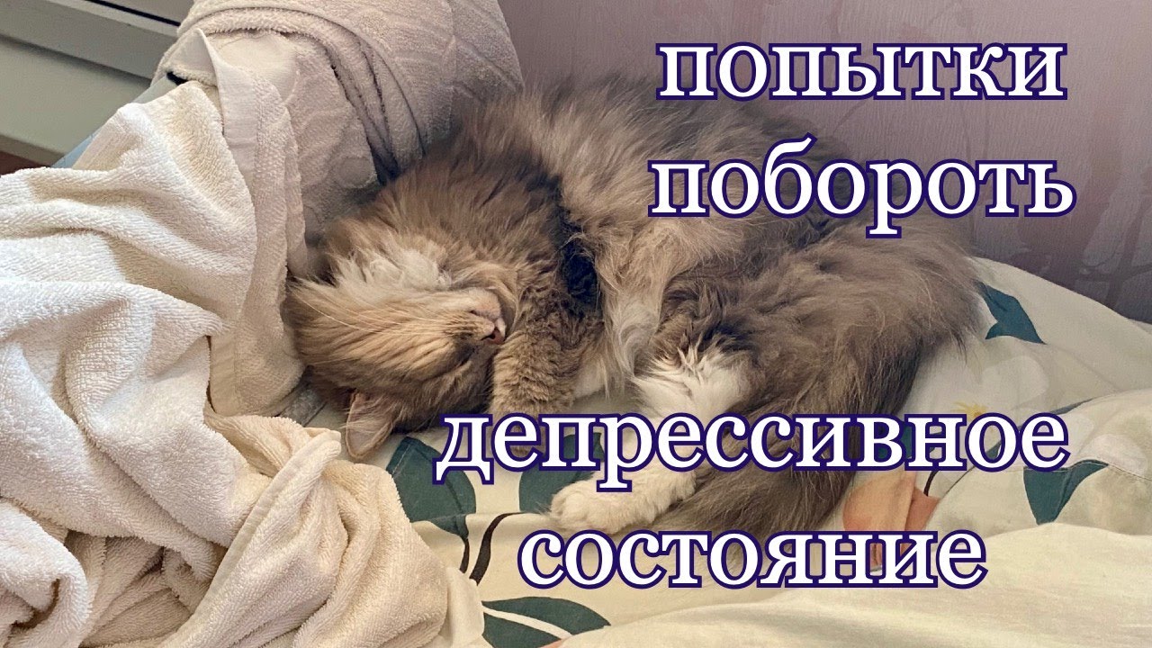 как преодолевать депрессивные состояния (тру стори)