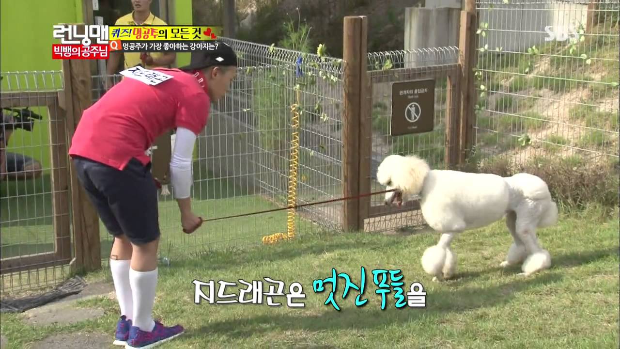 런닝맨 2013-09-15 #29(9)