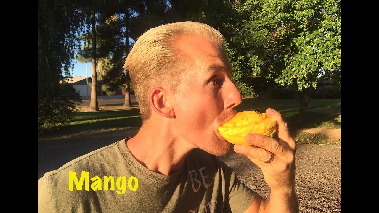 Epic EXOTIC MANGO Tasting with Shamus & Jake Mace - Phoenix, Arizona