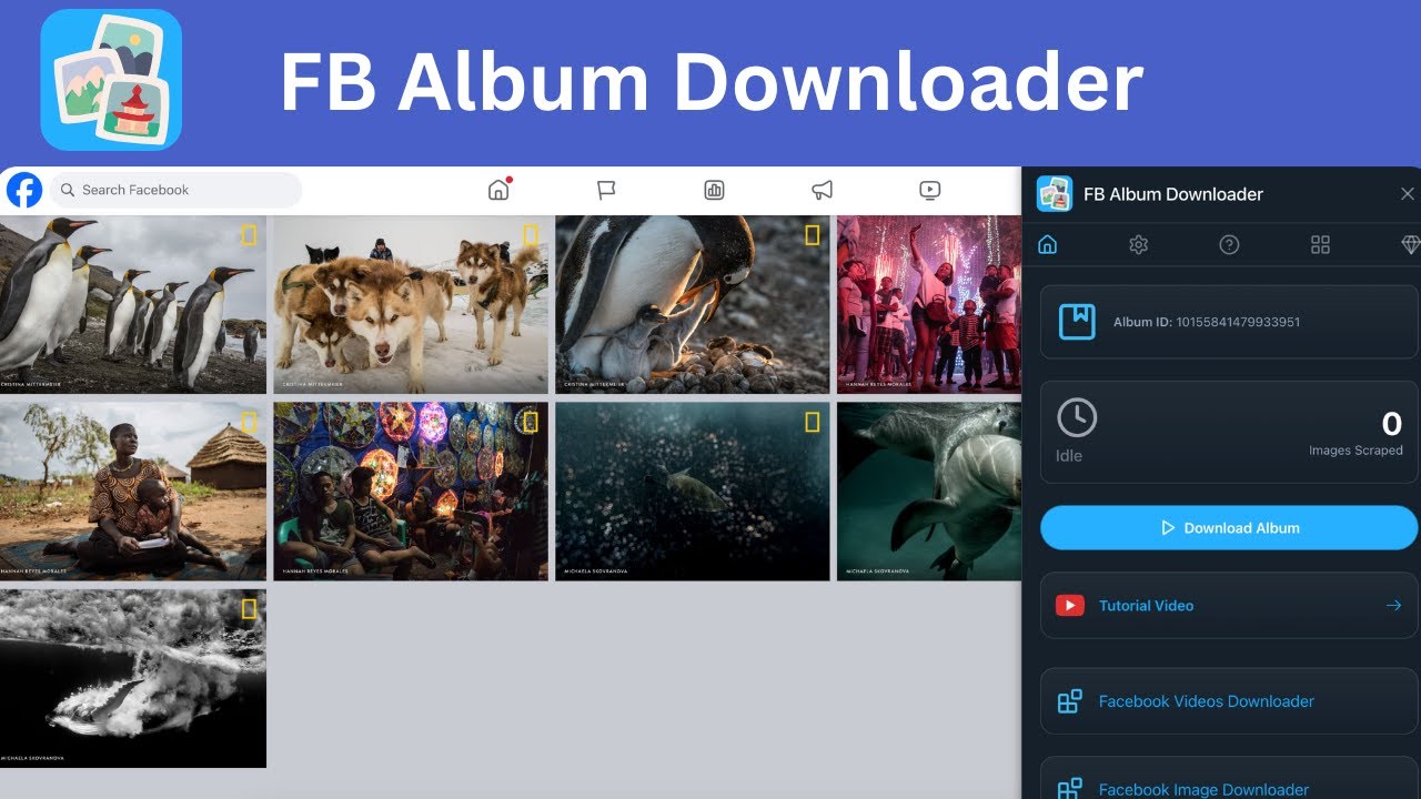 How to bulk download FB album photos in one-click?