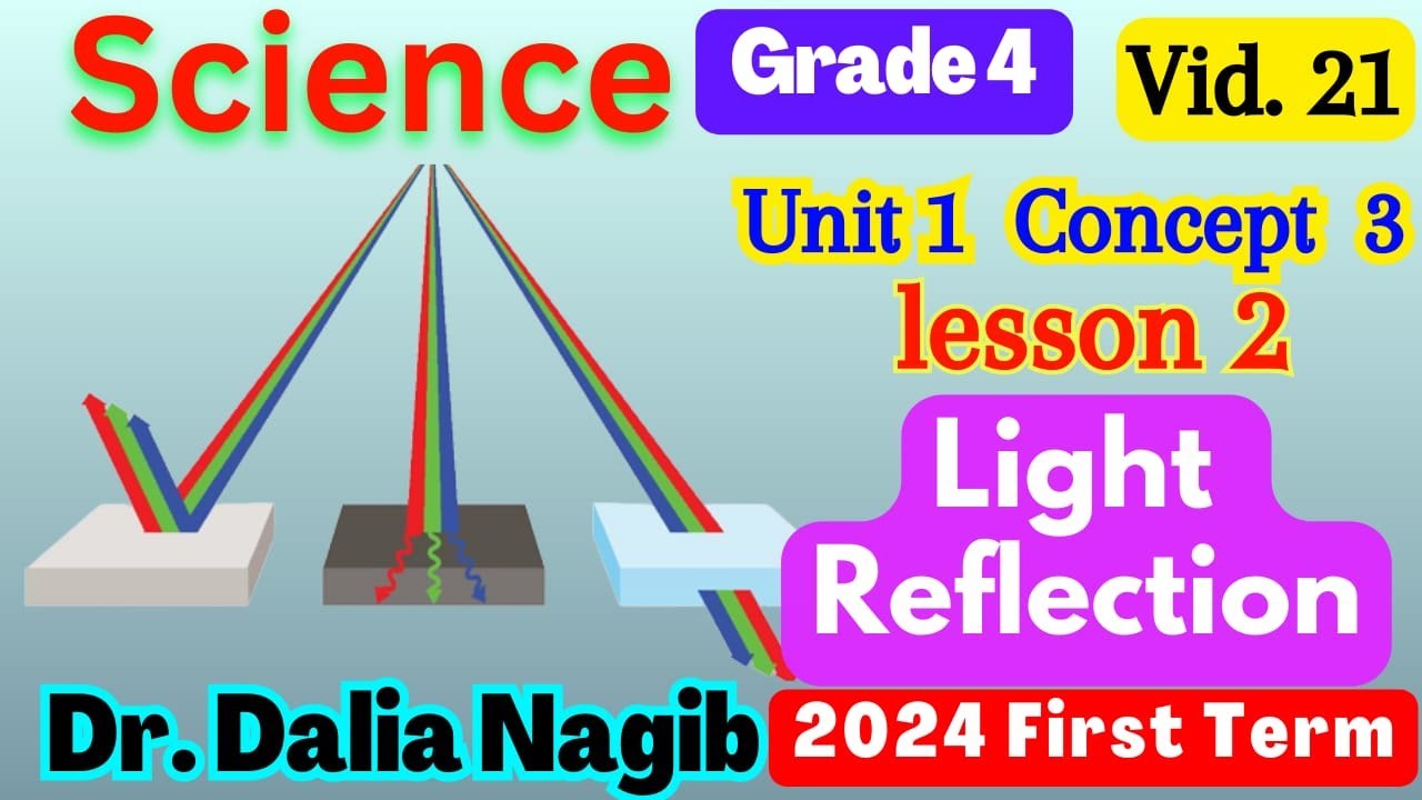 ساينس رابعه ابتدائي ترم اول المنهج الجديد  Science  Grade 4 Reflection Concept 3 Lesson 2