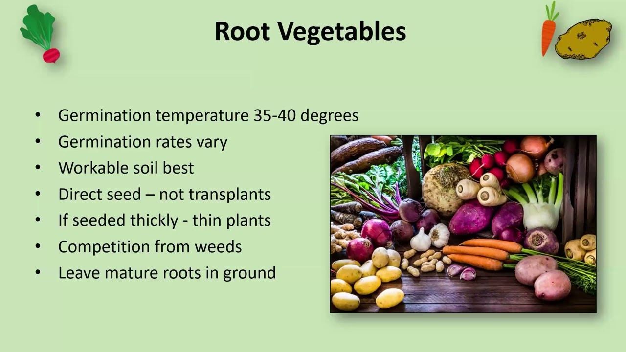 Growing Early-Season Vegetables with OSU Master Gardeners 2026