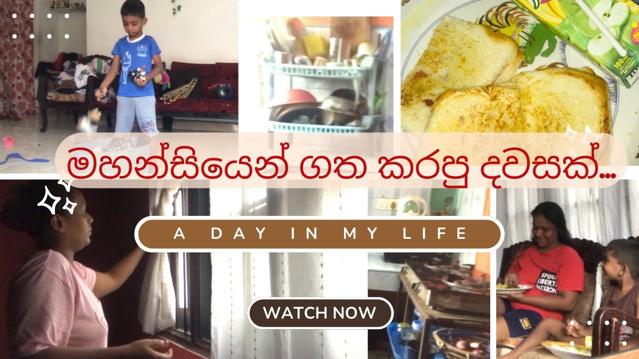 මහන්සි දවසක් / Cleaning Day Vlog 🧹🧽