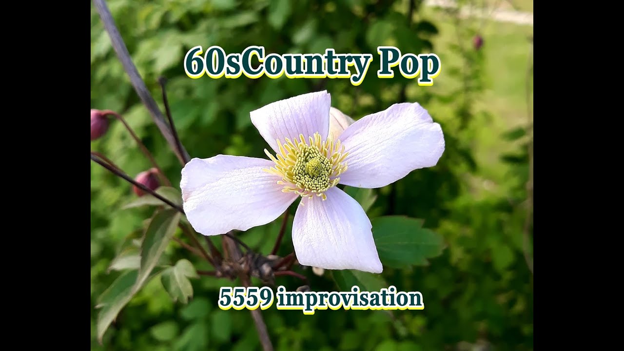 60sCountry Pop  - 5559 improvisation