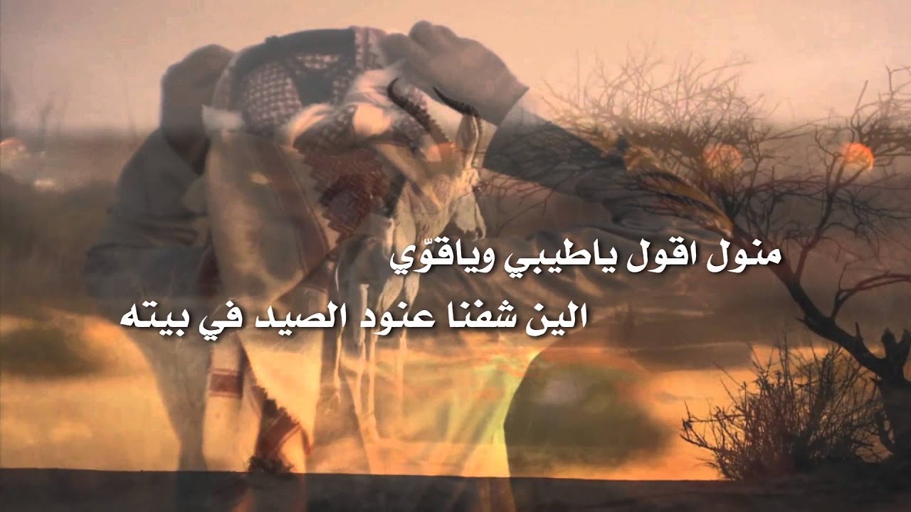 شيلة عنود الصيد كلمات الشاعر/  شاعر معانيق أداء المنشد / الوافي