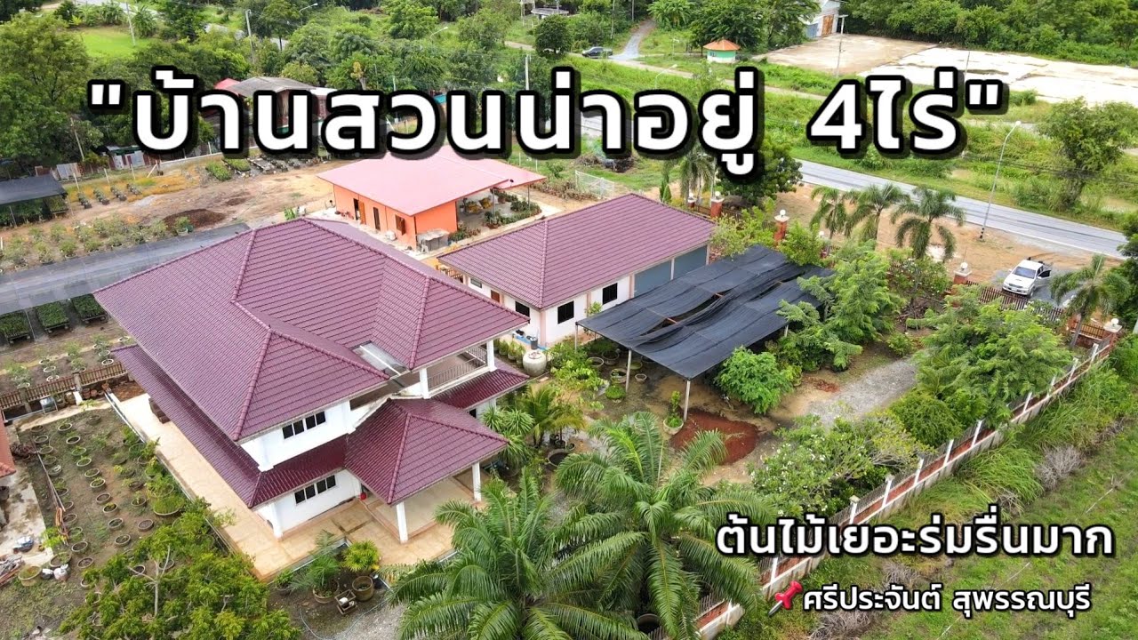 🎋บ้านสวน4ไร่🍃 ร่มรื่นไปด้วยต้นไม้เต็มพื้นที่ ติดถนนดำ รั้วกันดิน4ด้าน บ้านสวยน่าอยู่ 💥ขายถูกด่วน9.8ล