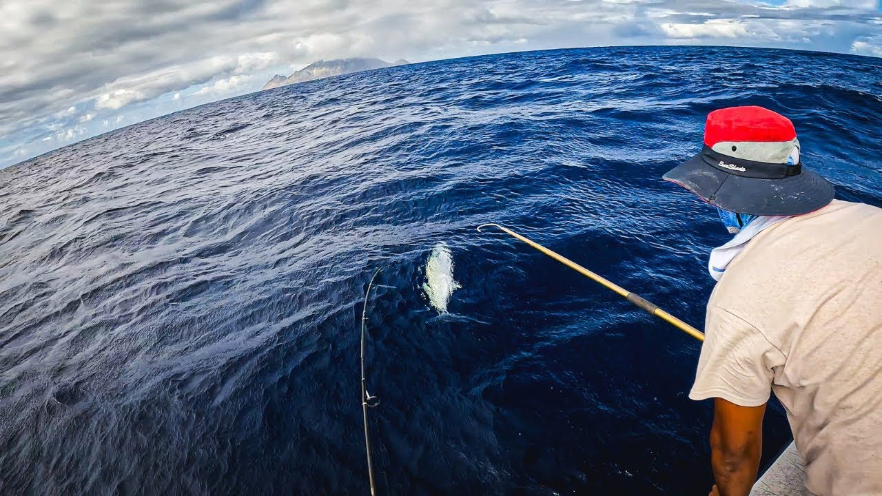 Monster King Mackerel | Fishing in the Caribbean | Saba, Dutch Caribbean 2024 |