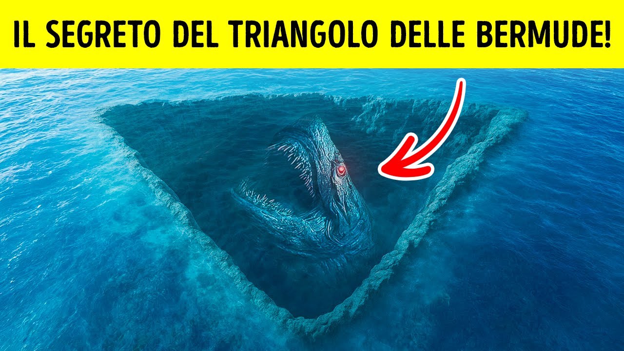 Il Segreto del Triangolo delle Bermuda Svelato: Scoperte Enormi Creature Oceaniche