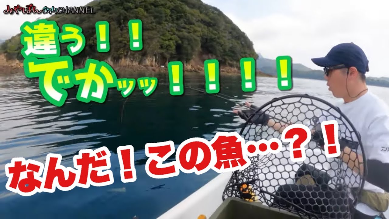 『規格外な魚が。。。⁈』の巻　２馬力ボート　カートップ　アスボヤ　天草