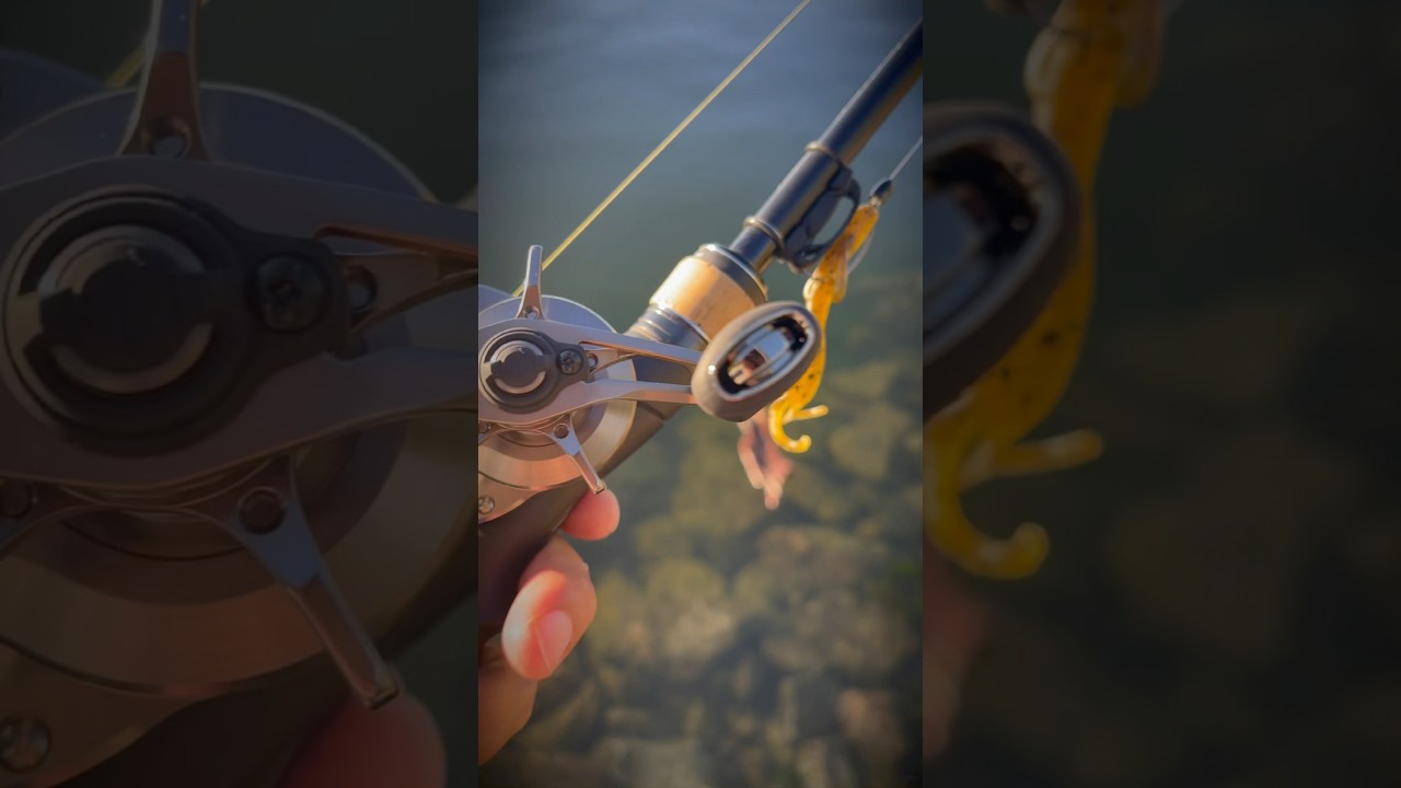 Flipping with BFS setup #short #shorts #fishing