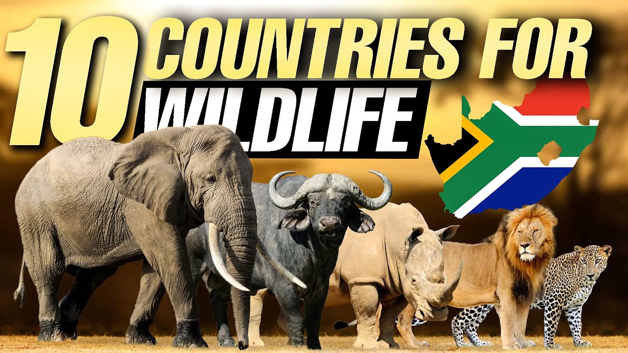 Nature's Bounty  Ranking the Top 10 Countries for Wildlife - Beyond Borders
