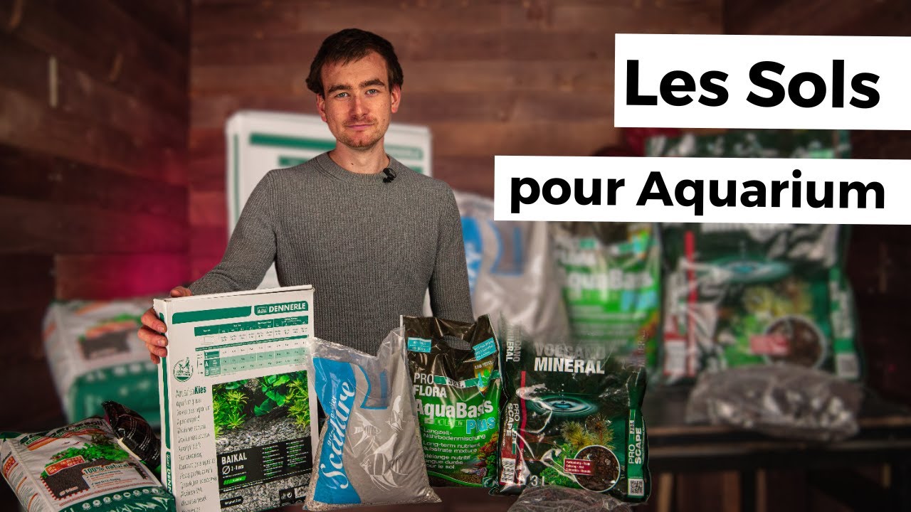 QUEL SOL CHOISIR POUR SON AQUARIUM QUAND ON DÉBUTE ? | AQUABOTA