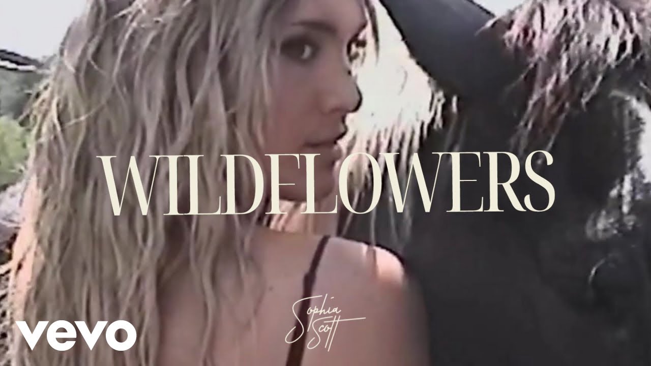 Sophia Scott - Wildflowers (Analog Visualizer)