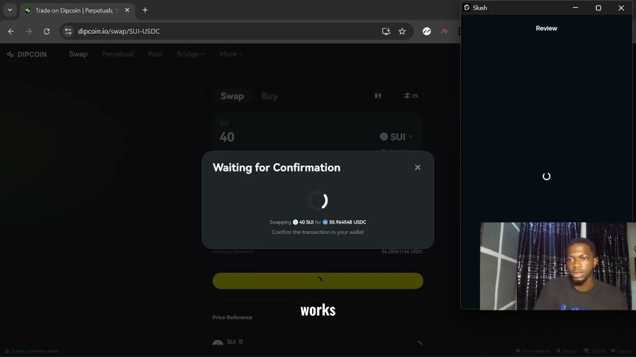 Exploring Dipcoin on SuiNetwork