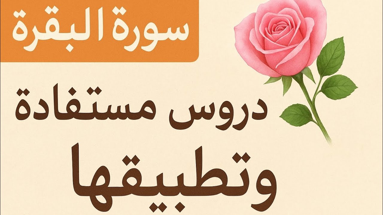 تلاوة هادئة من سورة البقرة | دروس مستفادة وكيف نطبقها في حياتنا 🌿