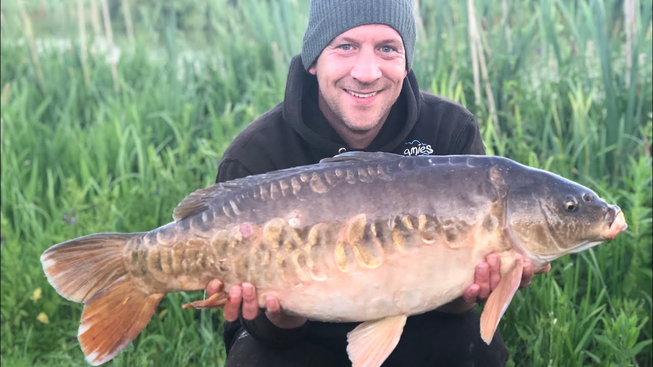 Coking Farm , OAK LAKE, WHAT A SESSION,