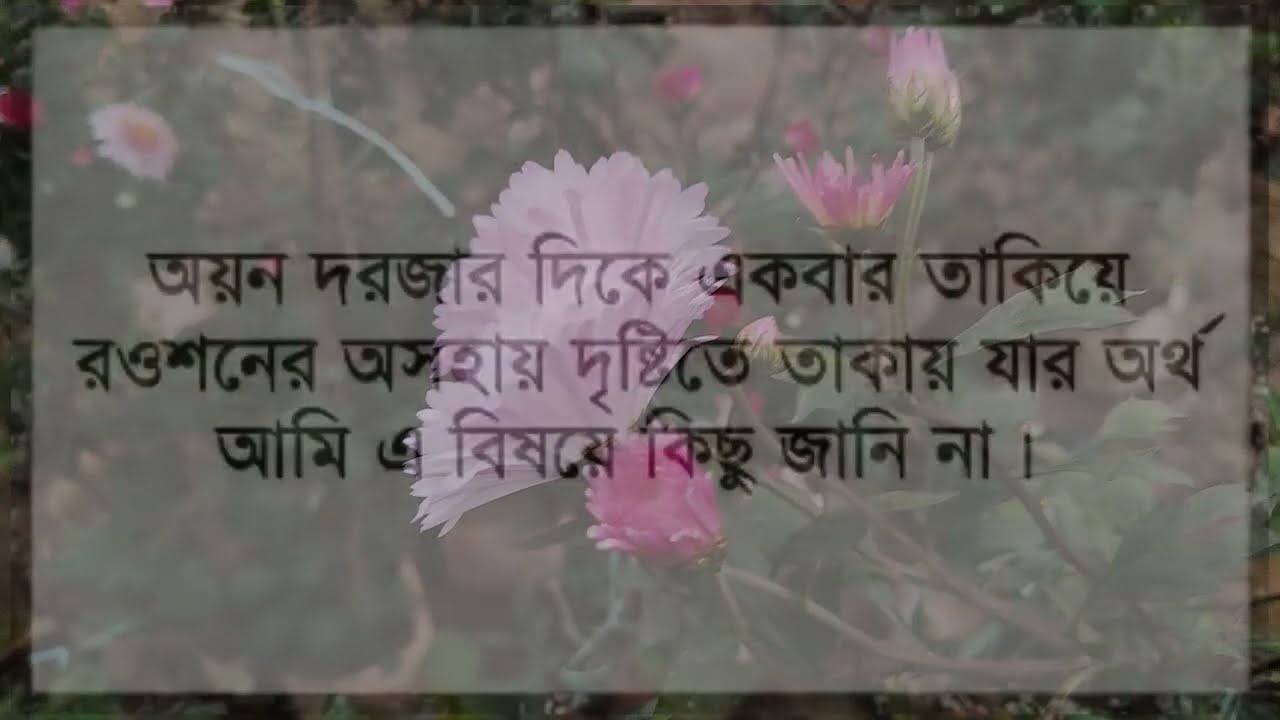 স্বপ্নের রাগী ছেলেটি রোমান্টিক লাভার//হিমু+নয়নিকা//সকল পর্ব//A CUTE LOVE STORY 