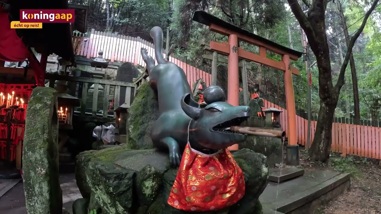 Verken Japan met reisspecialist Karen | Groepsreizen