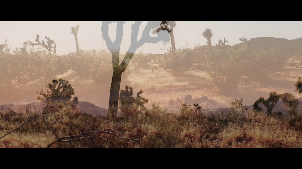 DAN DONOVAN - Mojave Spirits