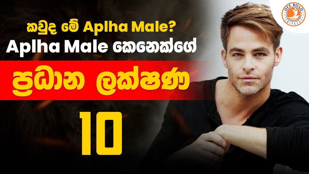 කවුද මේ Alpha Male? | Alpha Male කෙනෙක්ගේ ප්‍රධාන ලක්ෂණ 10 | Who is an Alpha Male in Sinhala