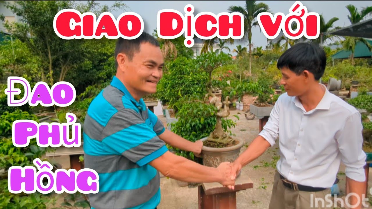 Giao dịch tại nhà vườn anh Vũ Sóng Hồng trong lúc BTC đi mới tác phẩm tham dự triển lãm Yên Mô NB