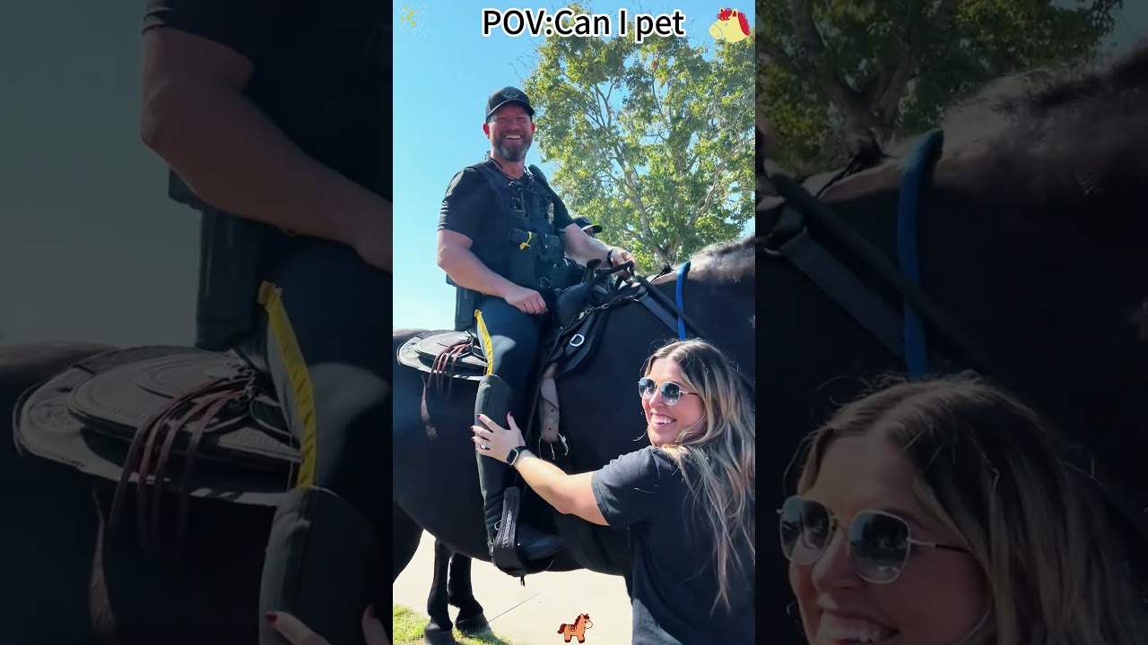 Can I pet #cop #pet #police #funny  #horse