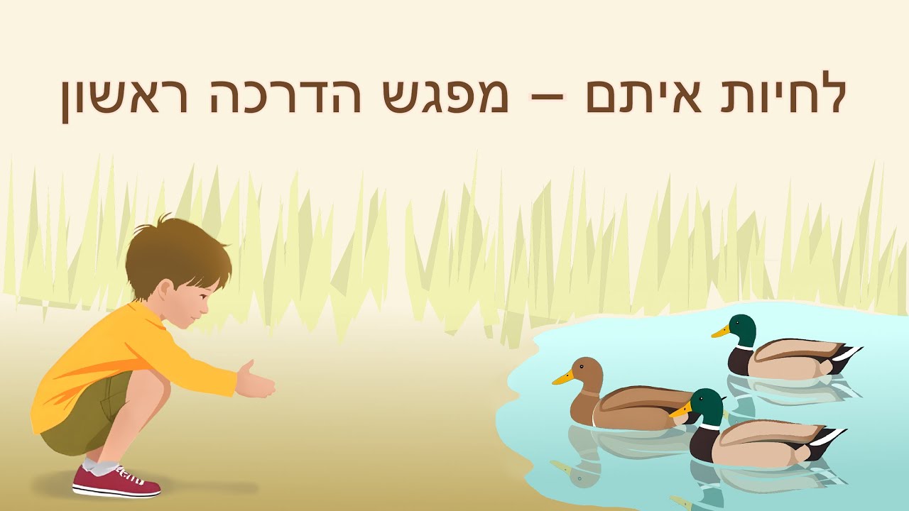 לחיות איתם – מפגש הדרכה ראשון