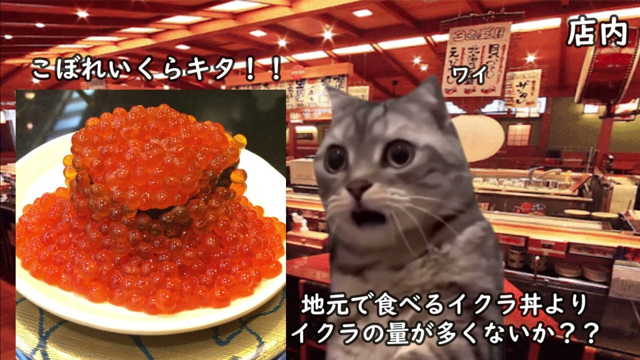 初めてなごやか亭に行った時の話　#猫ミーム #猫マニ